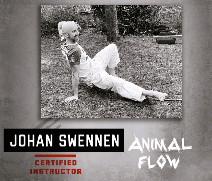 Animal Flow - Certified instructor Johan Swennen